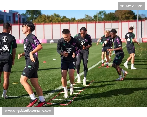 拜仁与德国足协达成国脚续约协议 合作关系进一步加强